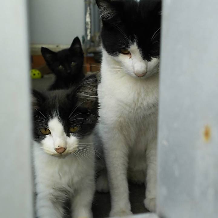 856fb971 dcc4 4b8b 9d0d d900ddc97811 1560933070115