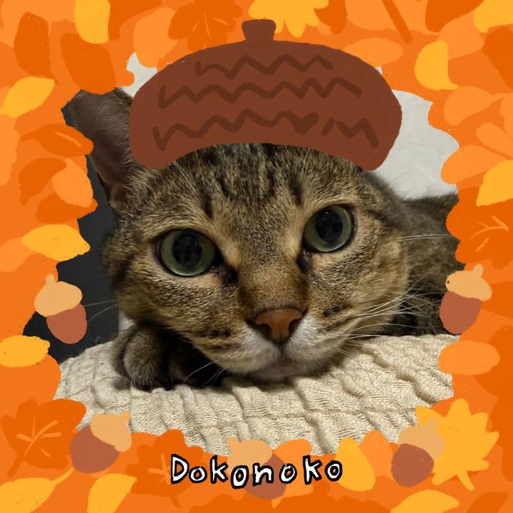 856fd3ce 10db 46df 809f 986b6e13d7d1 1789796358091