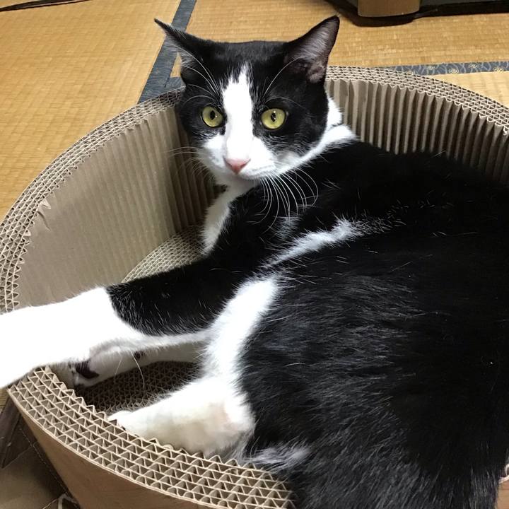 85700282 4ff2 4522 bdba 07329eedbc80 1697010217313