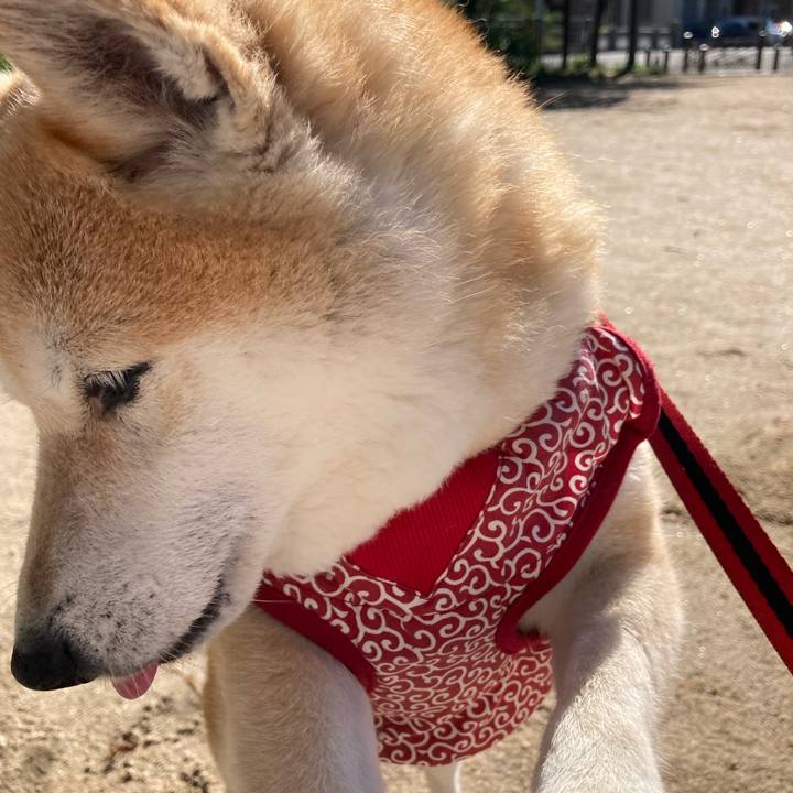 857016ee fd8d 4162 9f66 ece15c516a6d 1624020148007