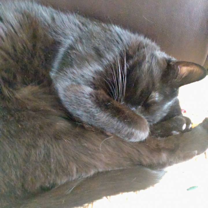 85701adf c4fb 46d8 b874 d4ee578b34b3 1758154442742