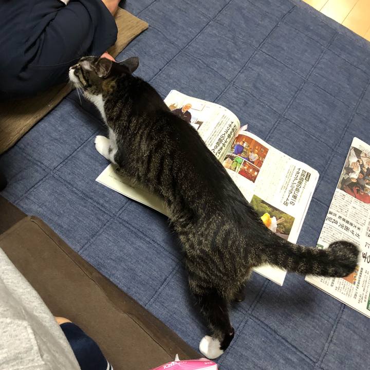 85702835 a8ba 4aba a54d dc96dacc3da6 1526460363857