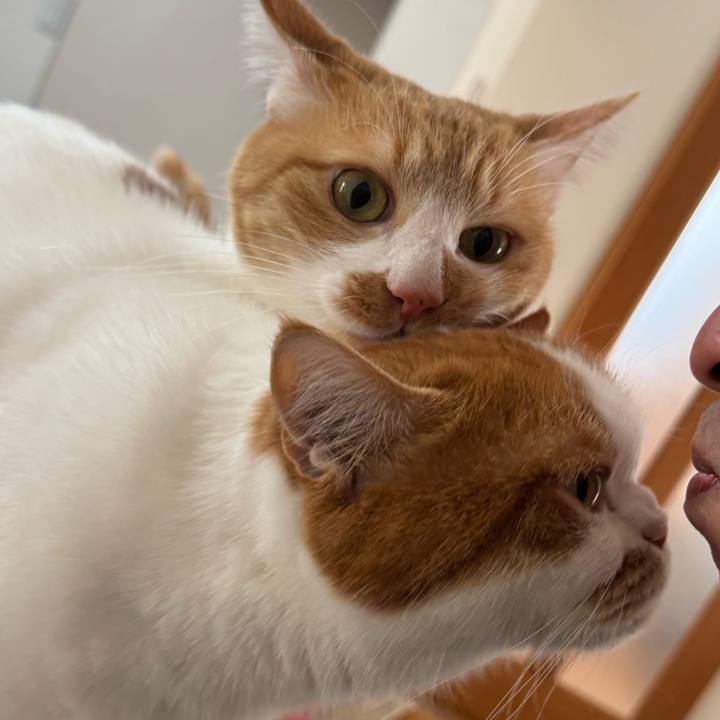 857058f9 4684 4d3a bf89 fcec85223340 1766798428514