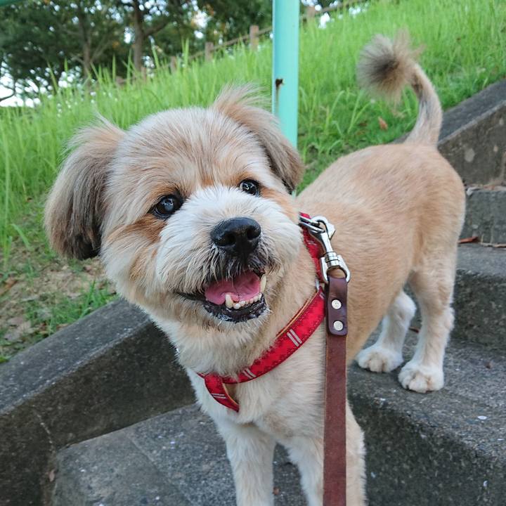 857061cc cdc0 473b a8df 6dadff520817 1597577674392