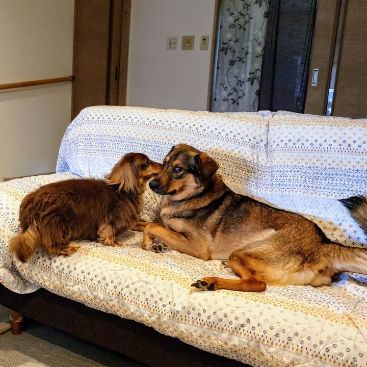 8570691f ec11 487c bbf8 a5248ec16892 1748567450457