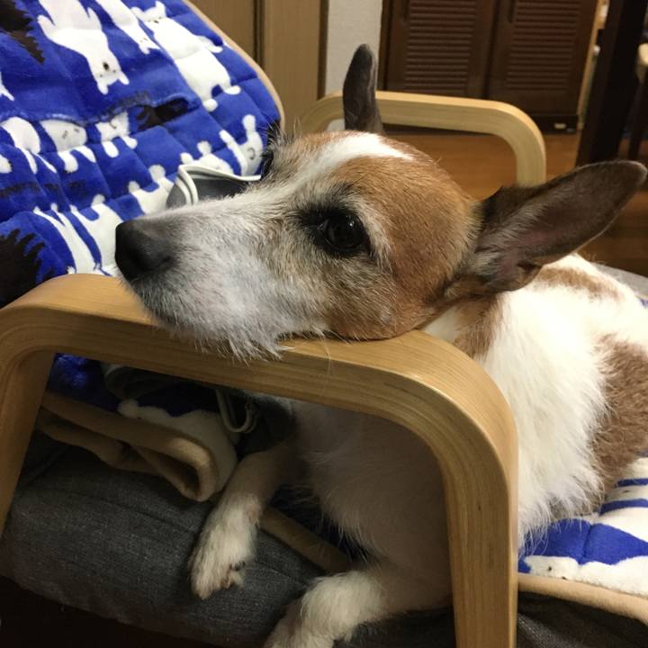 85708844 3e57 4eb2 814f 6d5907a63021 1597453296753