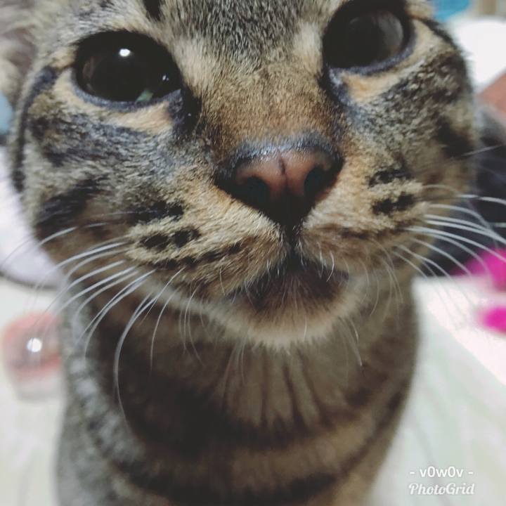 85710d56 2bea 44cc baf8 4fb739fc3fa3 1548597969990