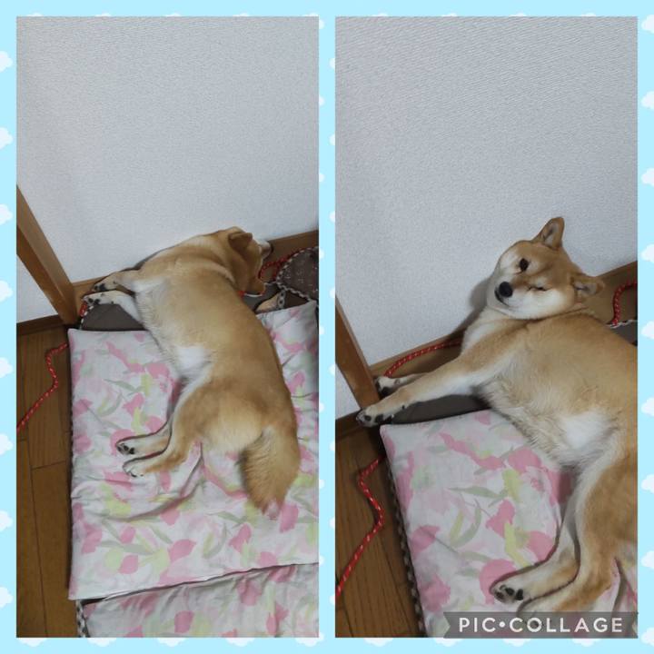 8571519e f1b5 4fd4 9a2e 250034e8965e 1751638665275