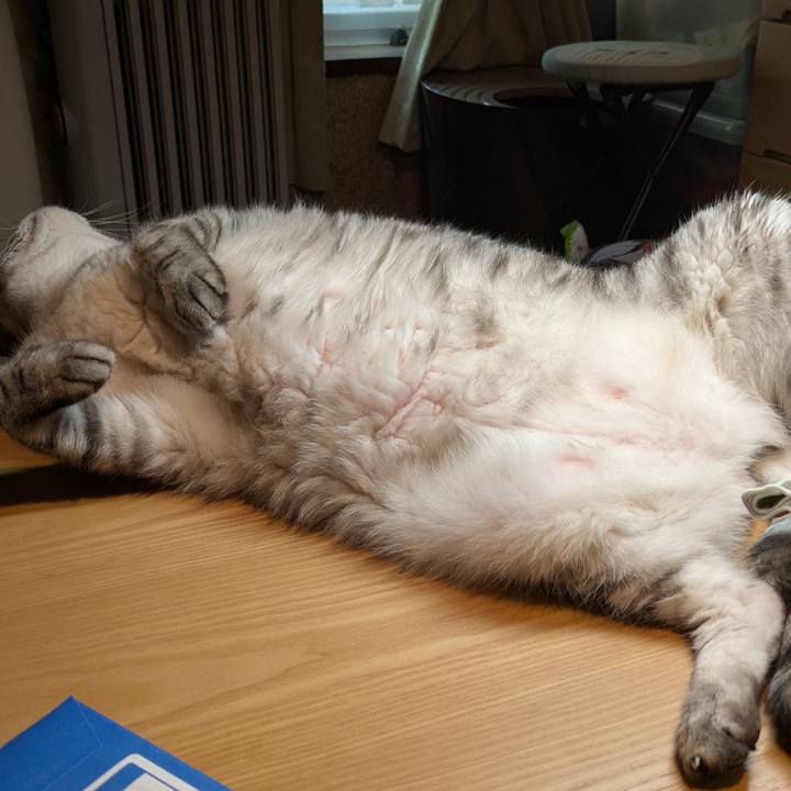 8571a87d aea0 4edb 8cca d4231ba580f6 1759162907370