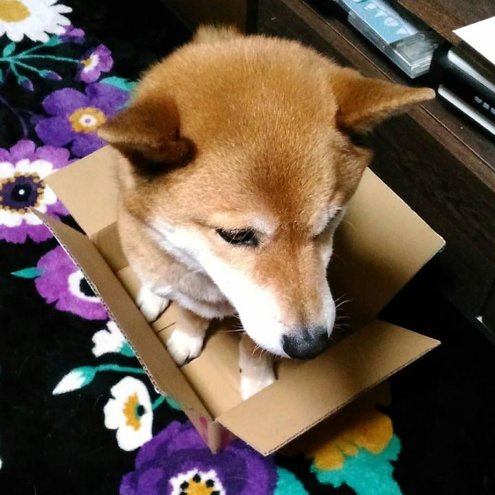 8571a901 2030 4cb6 8a00 2f873911c5d4 1553169891902