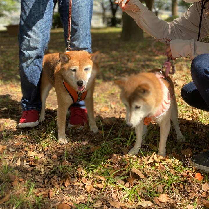 8571c090 f32d 4d74 a6da 5c624fc1121e 1633320306002