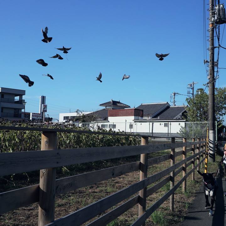 8571c4d7 7960 4de5 928f 27efc4d09dec 1758672047146