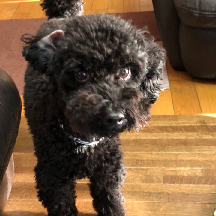 8571d12c dd51 4748 9f88 25861e2d4764 1511910549355