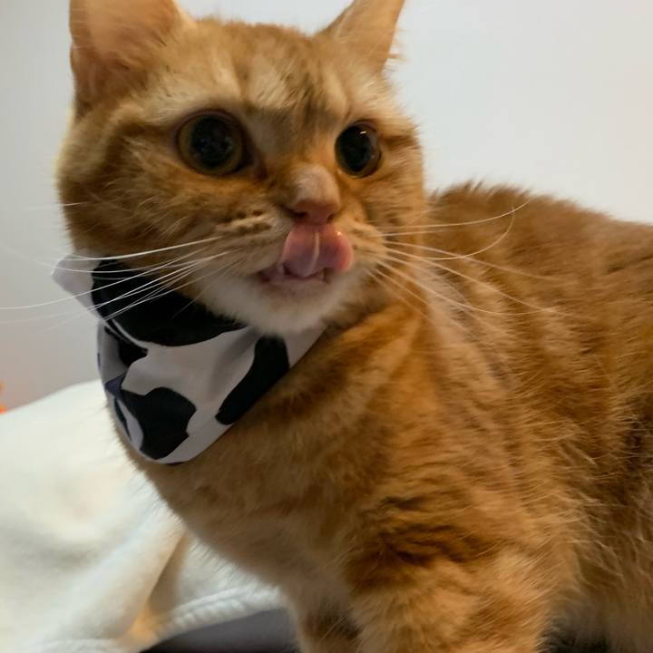 8571d29a f3ed 4931 99ac f2a447d4805e 1609652022346