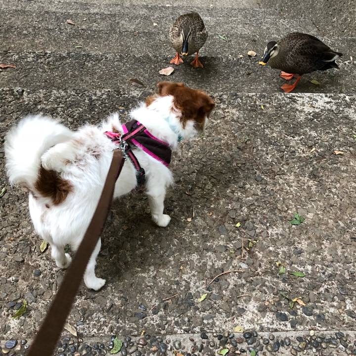 8571d527 d967 4c9a acbf bceb1b2a9df2 1525036530023