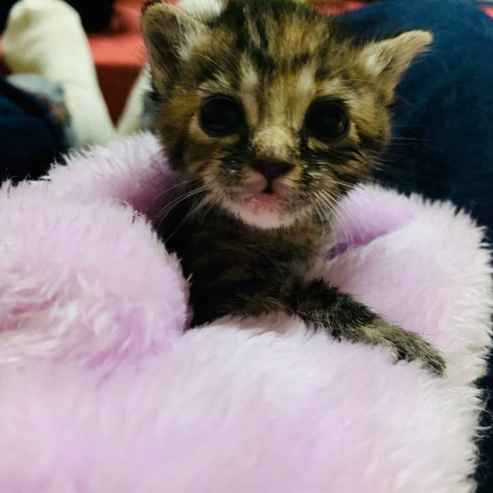 8571e1f0 aeab 40f3 912c 1ea40ffe88c3 1555839267943