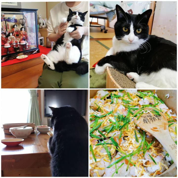 8571ec8a ce73 4a3f 82a7 4b96092ecf0a 1617437048465