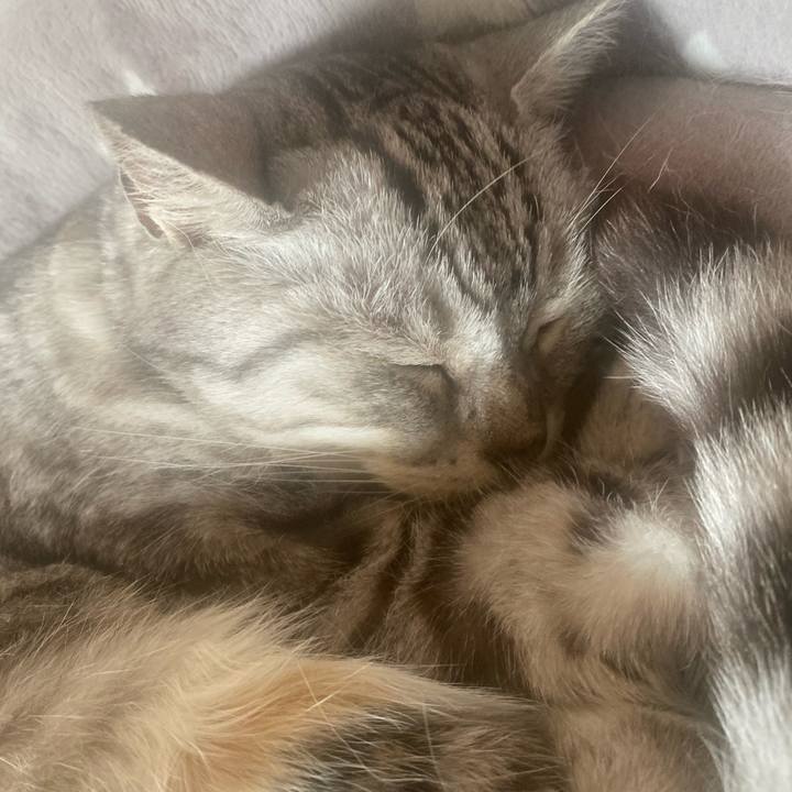 8571f5e1 d43e 4f1f b64a a7d603723e63 1749962776086