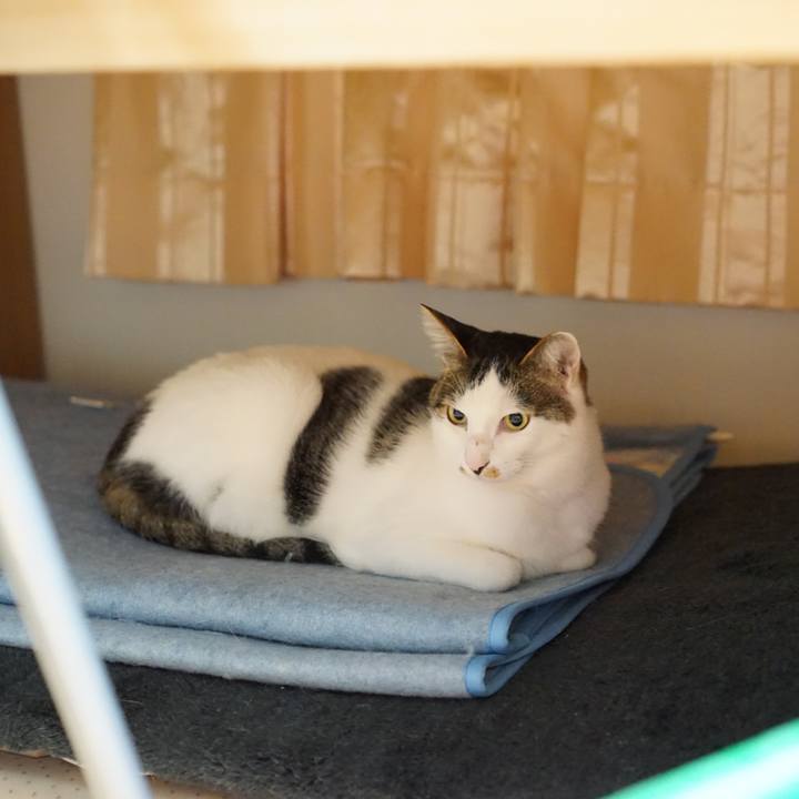 85721e08 ee7c 40b3 8408 17a50ed70935 1557408738065