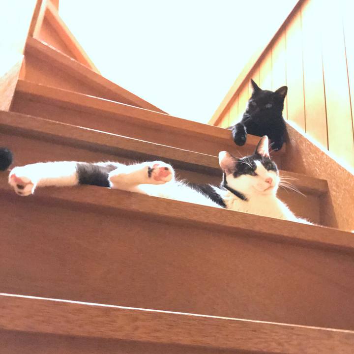 8572208f 46e0 49d6 98d8 1070e01eadf8 1535112256026