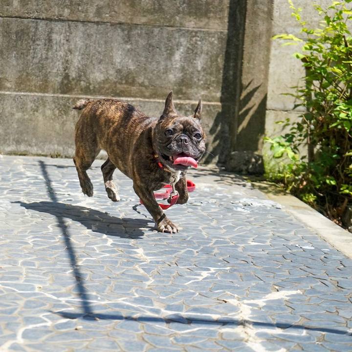 85722e12 5657 4a57 9149 cede76a61e99 1568547055232