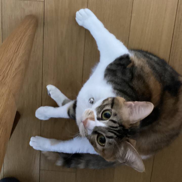 857256c6 89da 4747 a907 7f2d2f977dbe 1670888722489