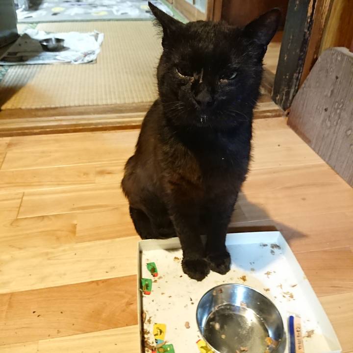 85725a2c 193c 49bf a951 42feb63a2ac0 1624459876899