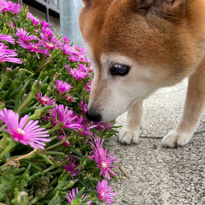 857268e3 83f2 4eb9 a883 b04b92df4ce1 1718457004652