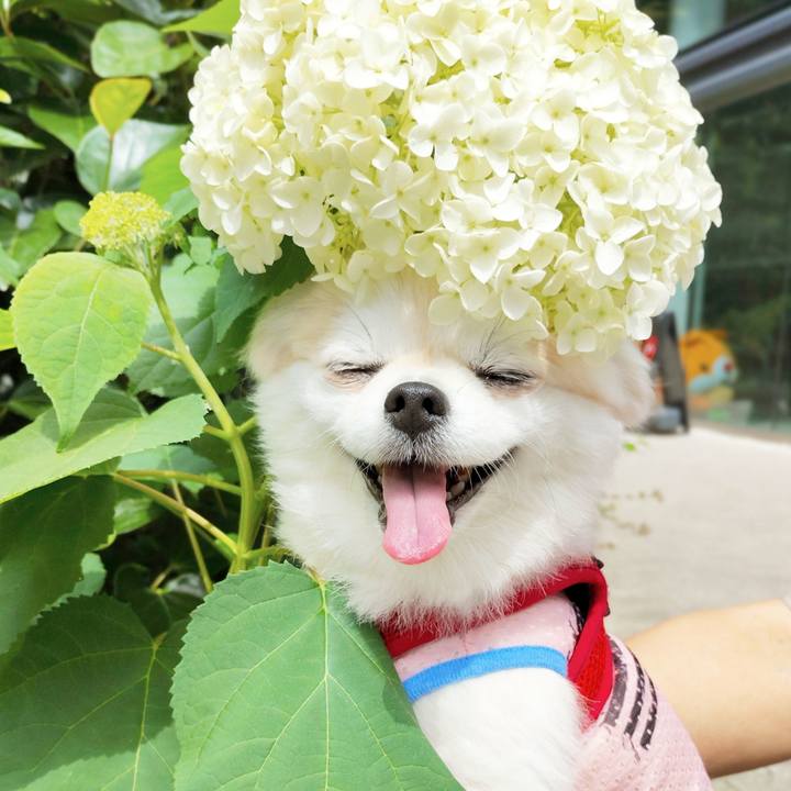 85727011 1714 487a bba7 e6d3d638d743 1756610108497