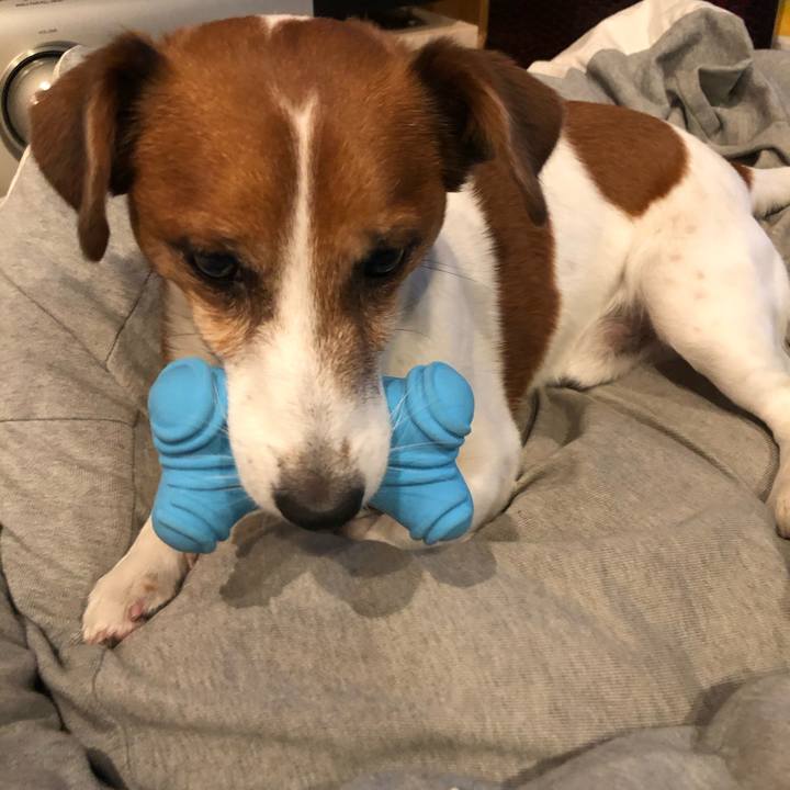 85727a13 5f22 49eb 9df3 6de2aa99a723 1604921170828