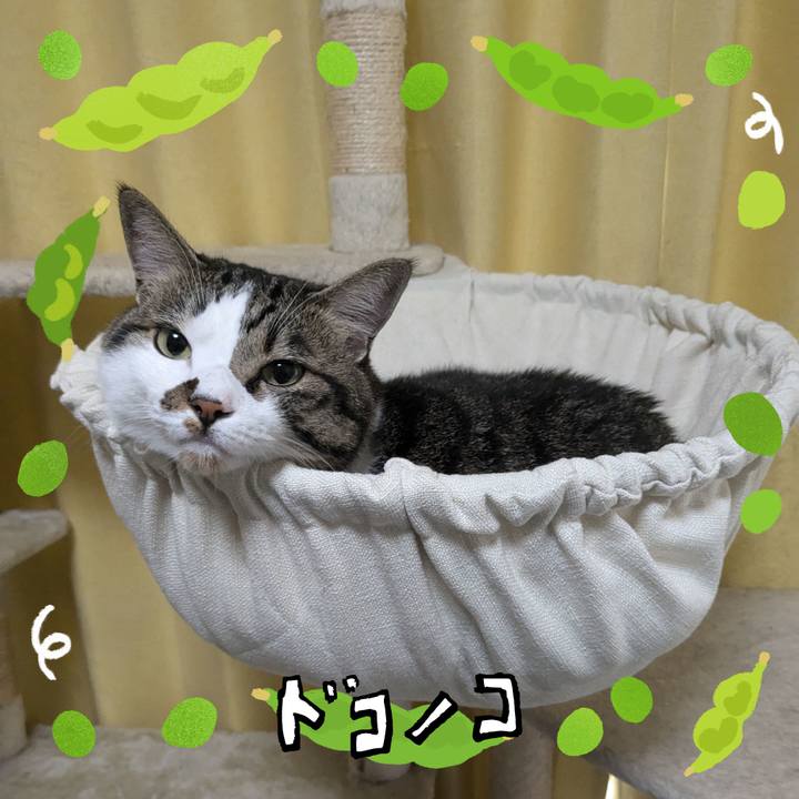 857282a2 a27d 48ff 8064 efcbd66006b1 1720830832963