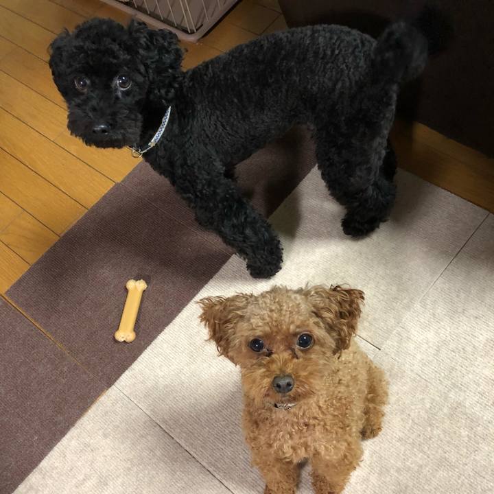 85729c21 e2b8 4689 9625 90e78727c574 1535796576620