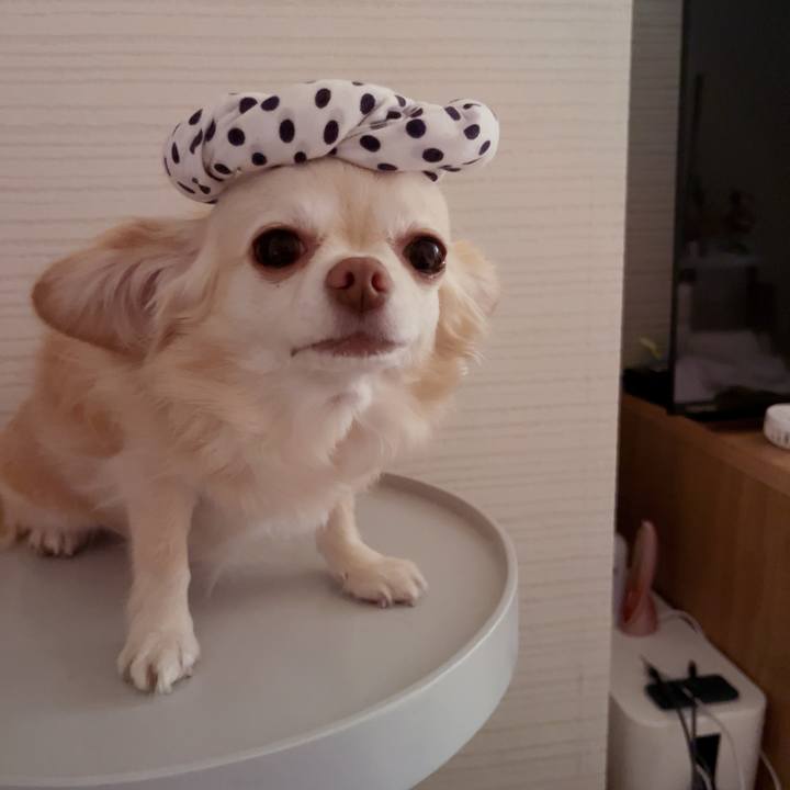 8572ca89 d806 4830 abaa 5895faff56d0 1753748628863