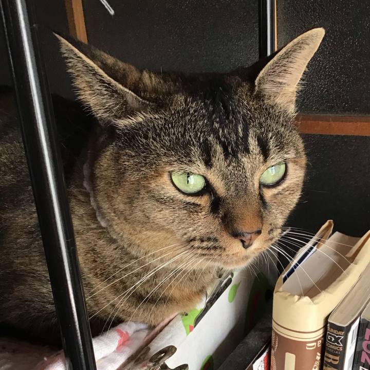 85731039 e793 47d3 8a4b b79bc1a521e8 1726789847657