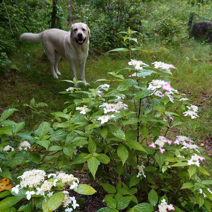 85736243 8357 4345 91bb b2aca475b626 1627737696785