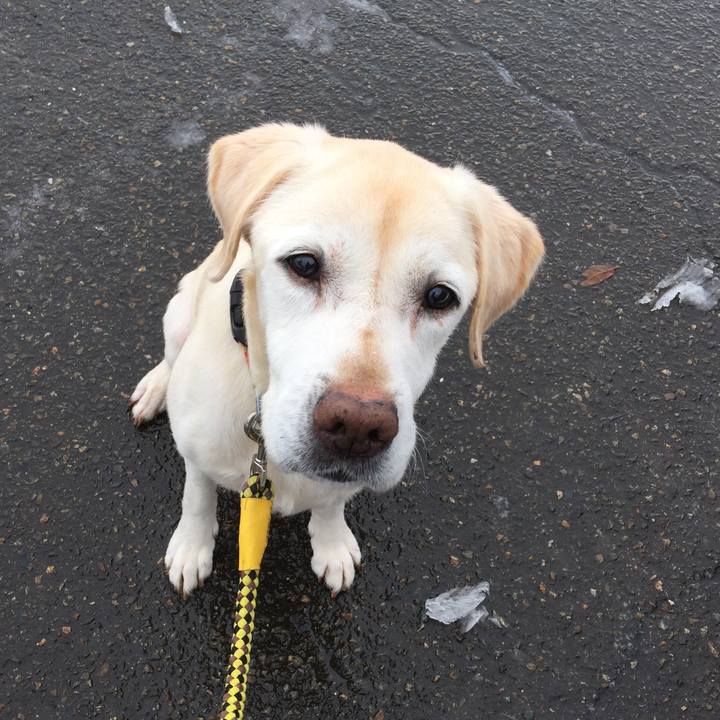 857389f6 1407 408c 9b8d 5a80e9e19707 1516674818005