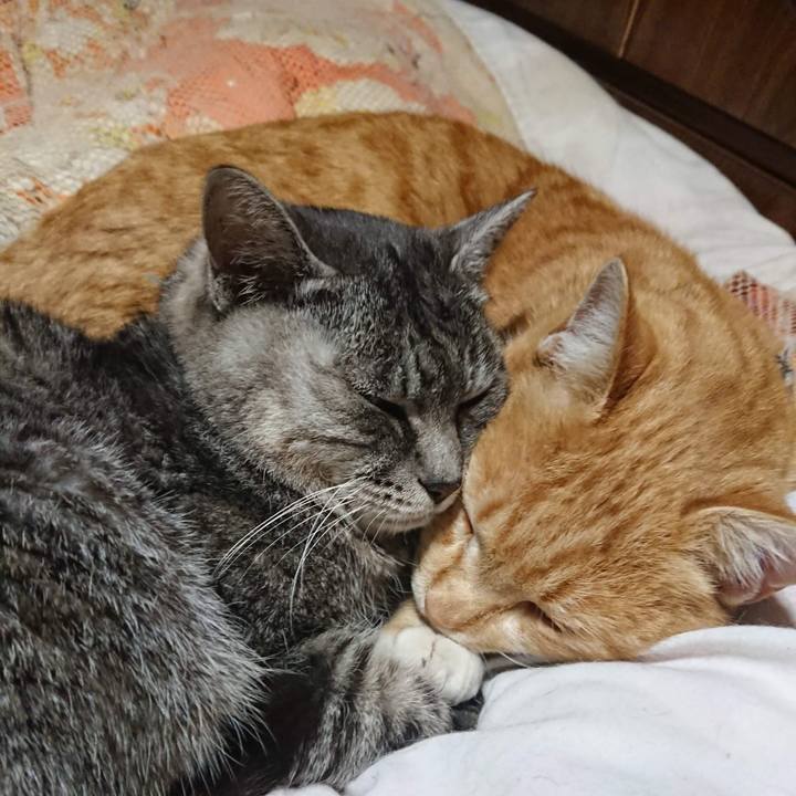 8573946e f55a 40a1 b9f6 01514a71e78e 1606563706484