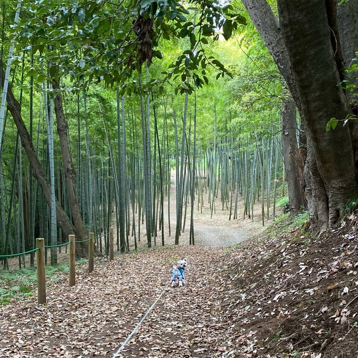 8573aa33 ab7a 4390 b266 c6bd1808e0e6 1604033976928