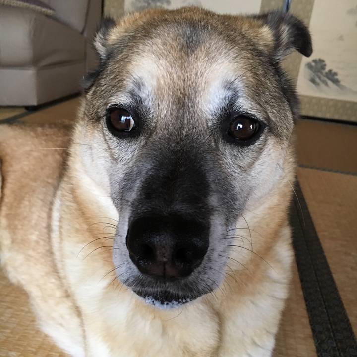 8573b32d 7939 45c2 928f a65cca5ca840 1527586743301