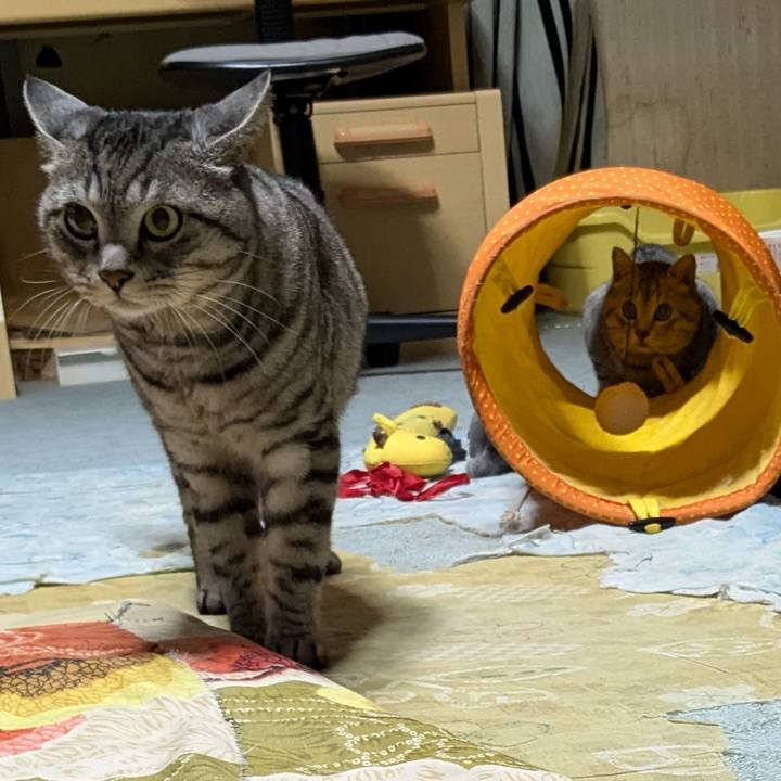 8573fcfb 0dd8 490c a202 eed4aba93fd5 1731137957141