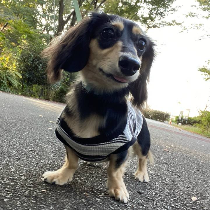 857402fe d45e 48e6 af70 18970fef2828 1697603168103