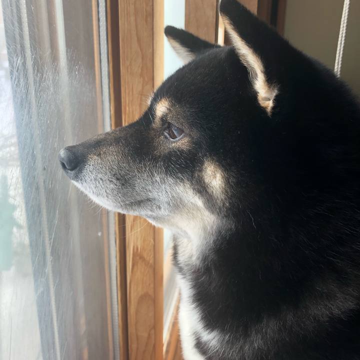 85744ad0 9b25 473f 854b 5b6980e24ab1 1579610077108