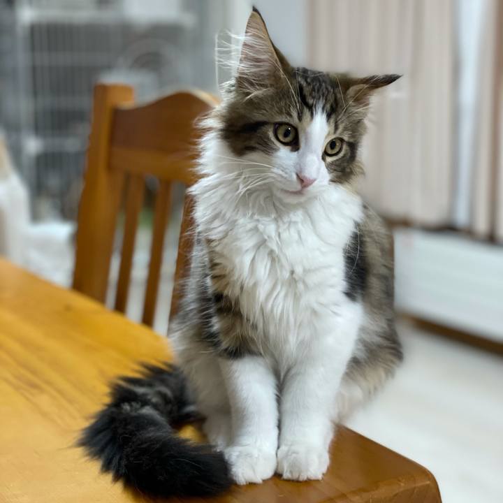 85744d0b 20cc 4ca9 ba18 236a3299f4fe 1633813446939