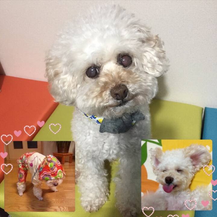 85746ecd 6a73 4acc 9391 5eef5d7687a6 1528191146224