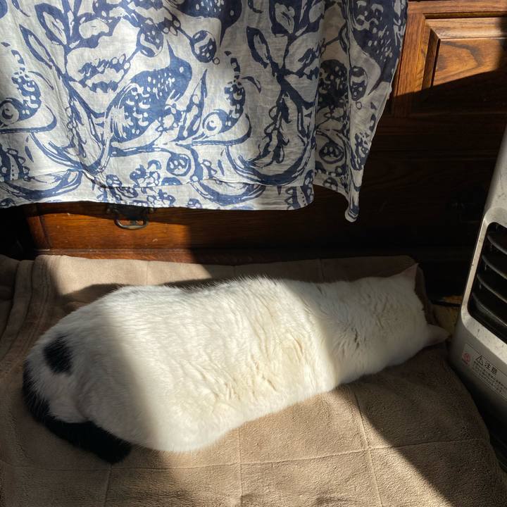 85747ebb e7e2 480c 88f1 a16d2004b98c 1577161566081