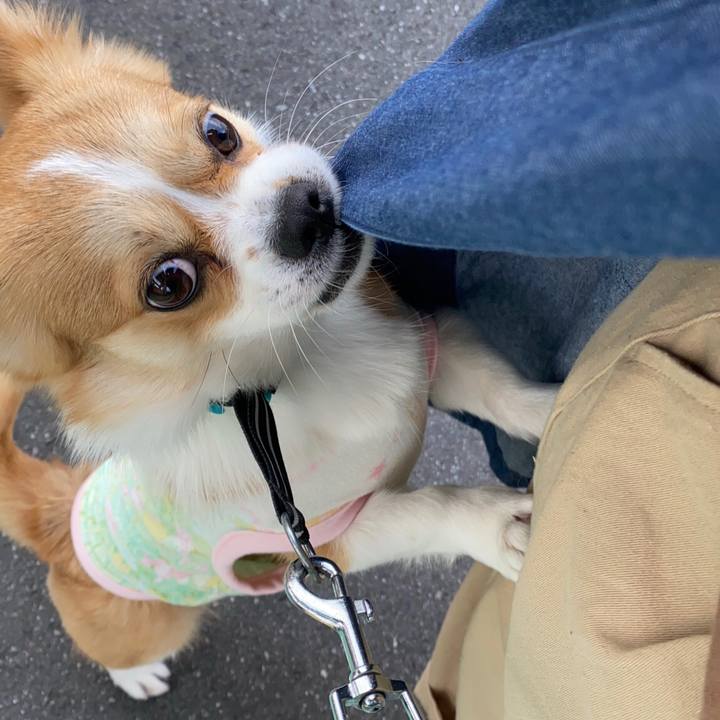 85748032 1356 49d9 84cd c283d213ee0d 1588053699437