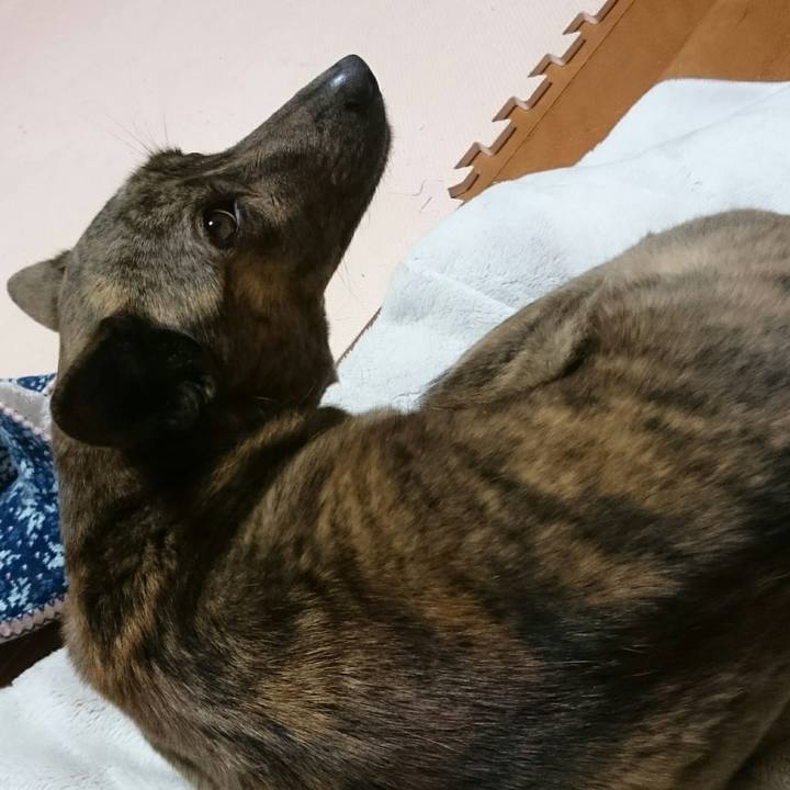 857489a9 8b1a 4035 936f c048221e30df 1517229667384