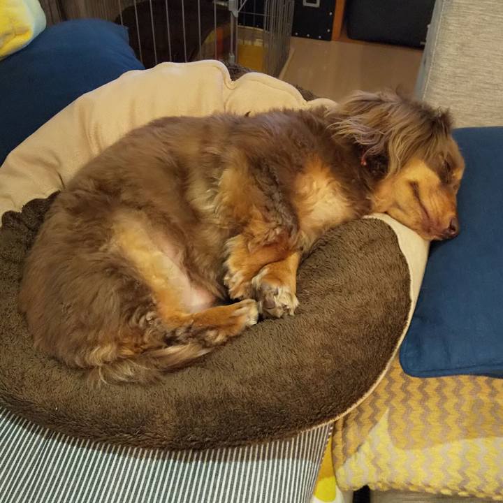 8574ae39 f2e6 4a69 ba2f 5daade9c1264 1556693976960