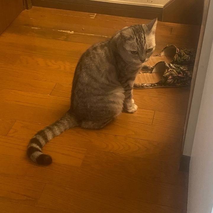 8574b0d6 032a 4a71 81e3 0fb2e1951560 1755725740450