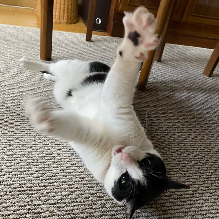 8574c96e 8d64 4152 a6a4 167fedead30e 1618643510062